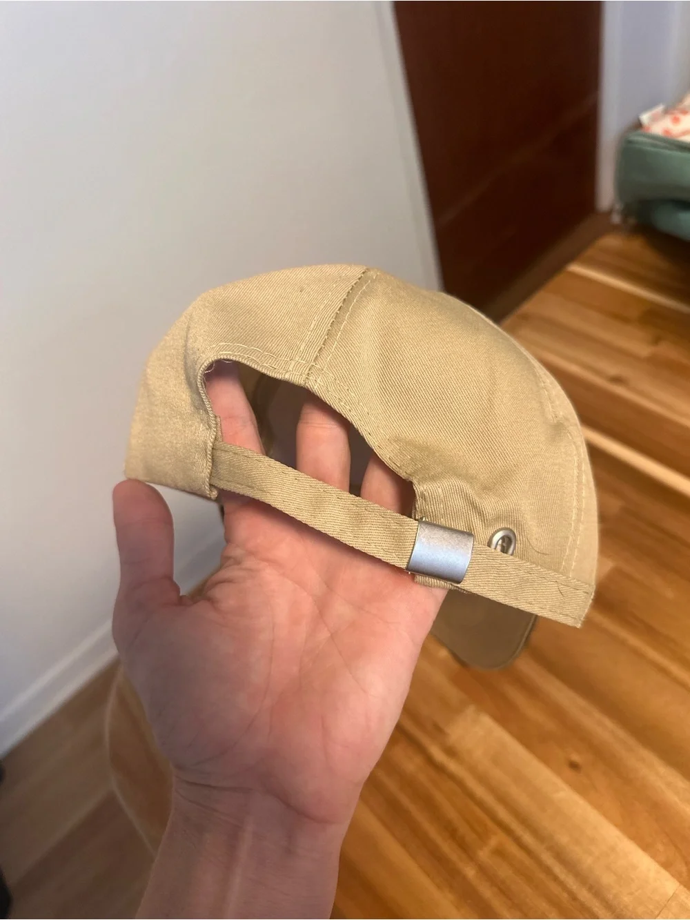 Dachshund hat